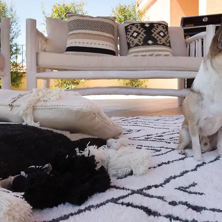 Amelia * فيلاّسيمِيوس