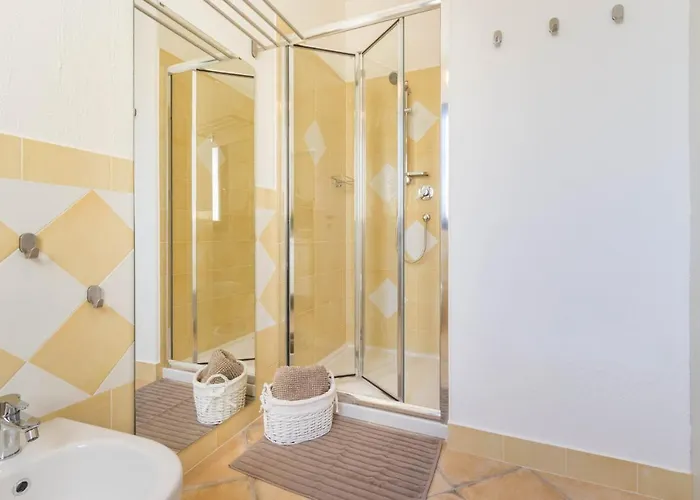 Amelia 维拉西米乌斯